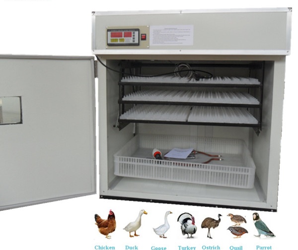 Chicken automatic egg incubators Gauteng SA South Africa For sale